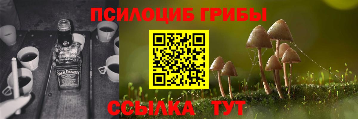 Галлюциногенные грибы GOLDEN TEACHER  Псилоцибиновые грибы мухоморы  Вход с VPN  Чита 